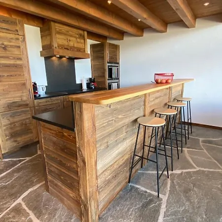 Duplex Access In Front Of Skislope By Jolidi Apartment Nendaz